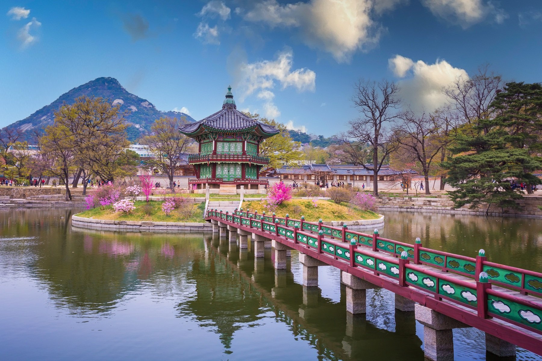 Gyeongbokgung Palace, Seoul Cherry Blossom Season