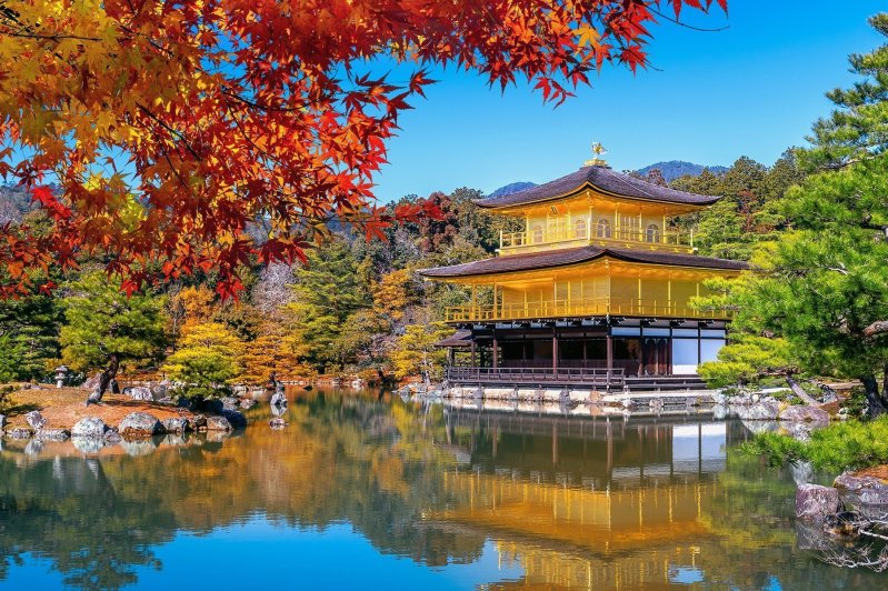 Golden Pavilion Kyoto In Autumn