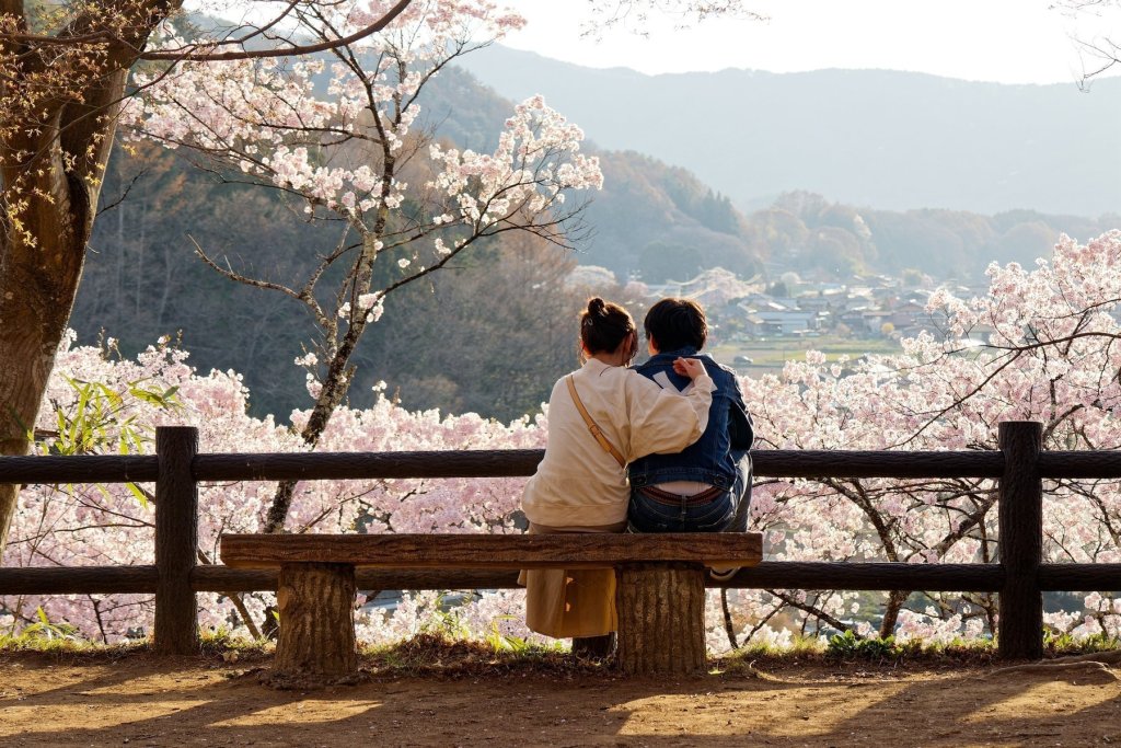 Japan Honeymoon Tour Package Luxury