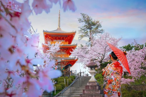 Young Japanese Woman In A Traditional Kimono Dress At Kiyomizu-dera Temple In Kyoto, Japan