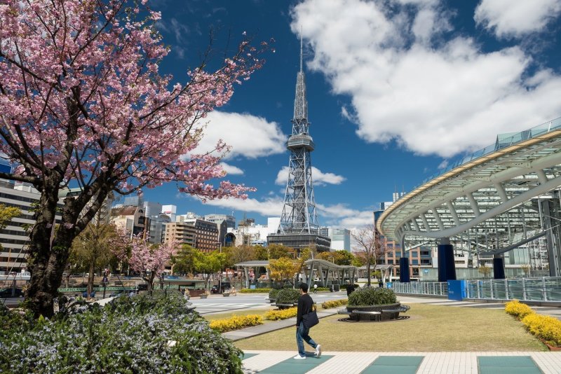 Tokyo Tower During Cherry Blossom Season