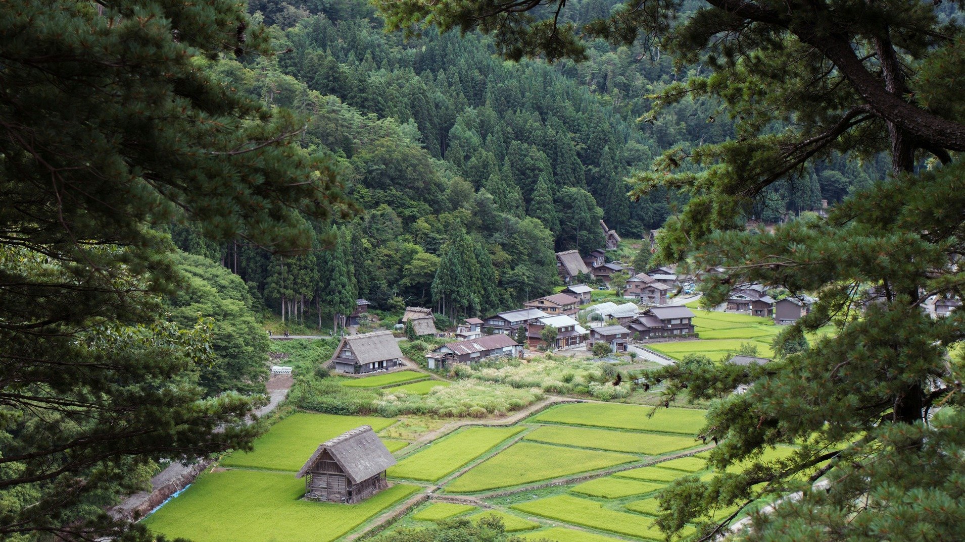 Shirakawa-go Village