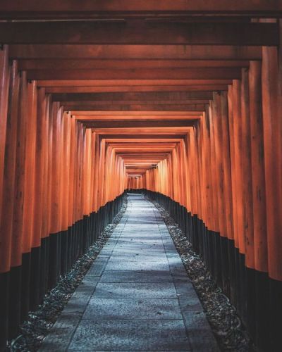 Orange Torii Gates Japan