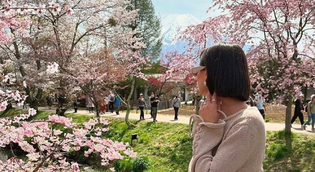 Young Woman On A High End Luxury Tour Looking Back At Mount Fuji And Cherry Blossoms On A Custom Tour In Japan