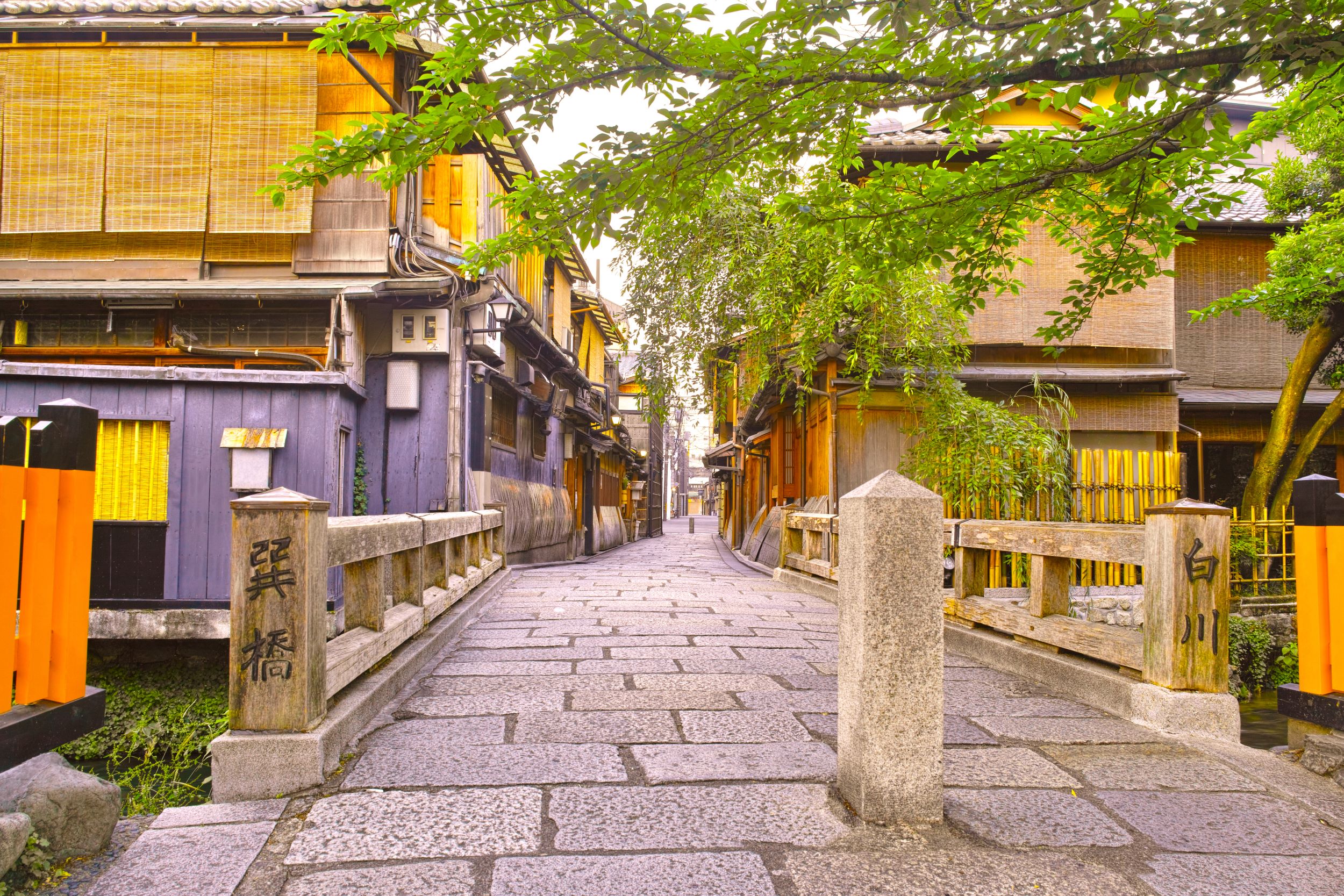 Evening Food Tour Of Kyoto’s Pontocho & Gion Shirakawa - Gion Shirakawa's Streets In Kyoto