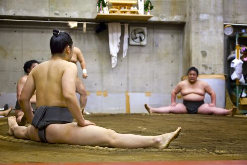 Japanese Sumo Wrestlers Training In Their Stall In Tokyo