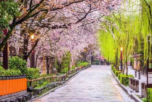 Alley In Gion, Kyoto