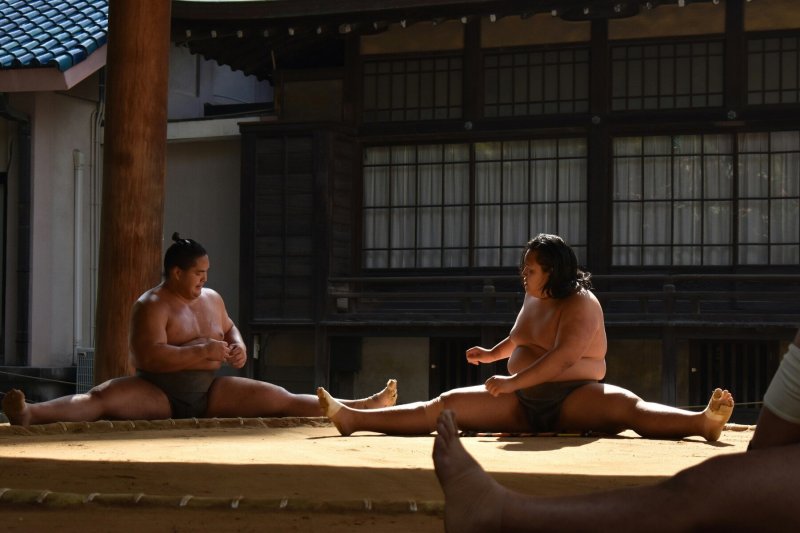 Sumo Wrestling Tour Japan Sport