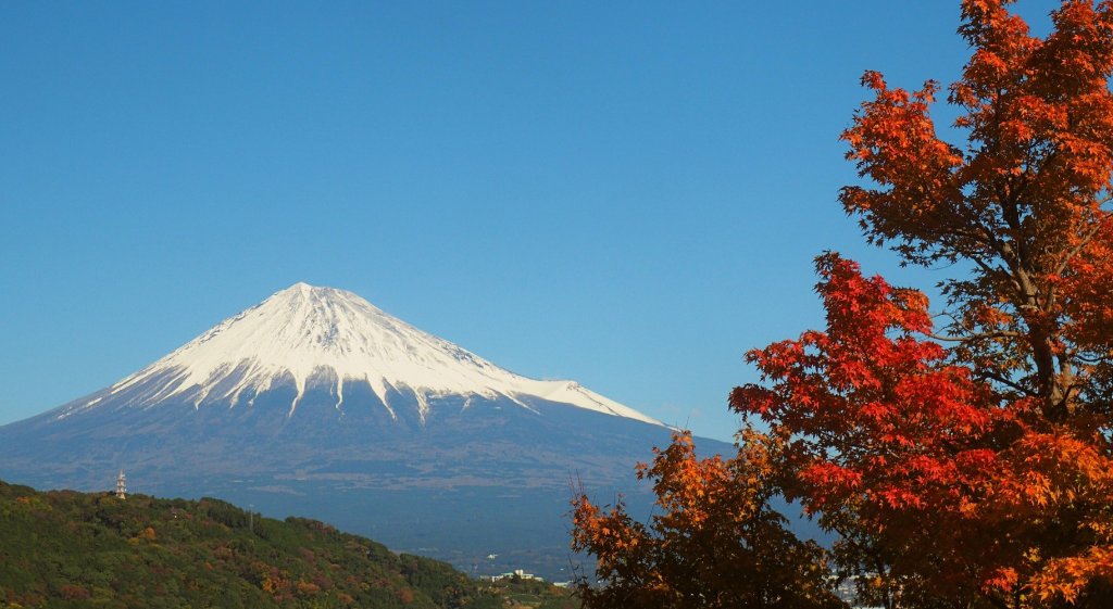 Mount Fuji With Flowers Japan Tour