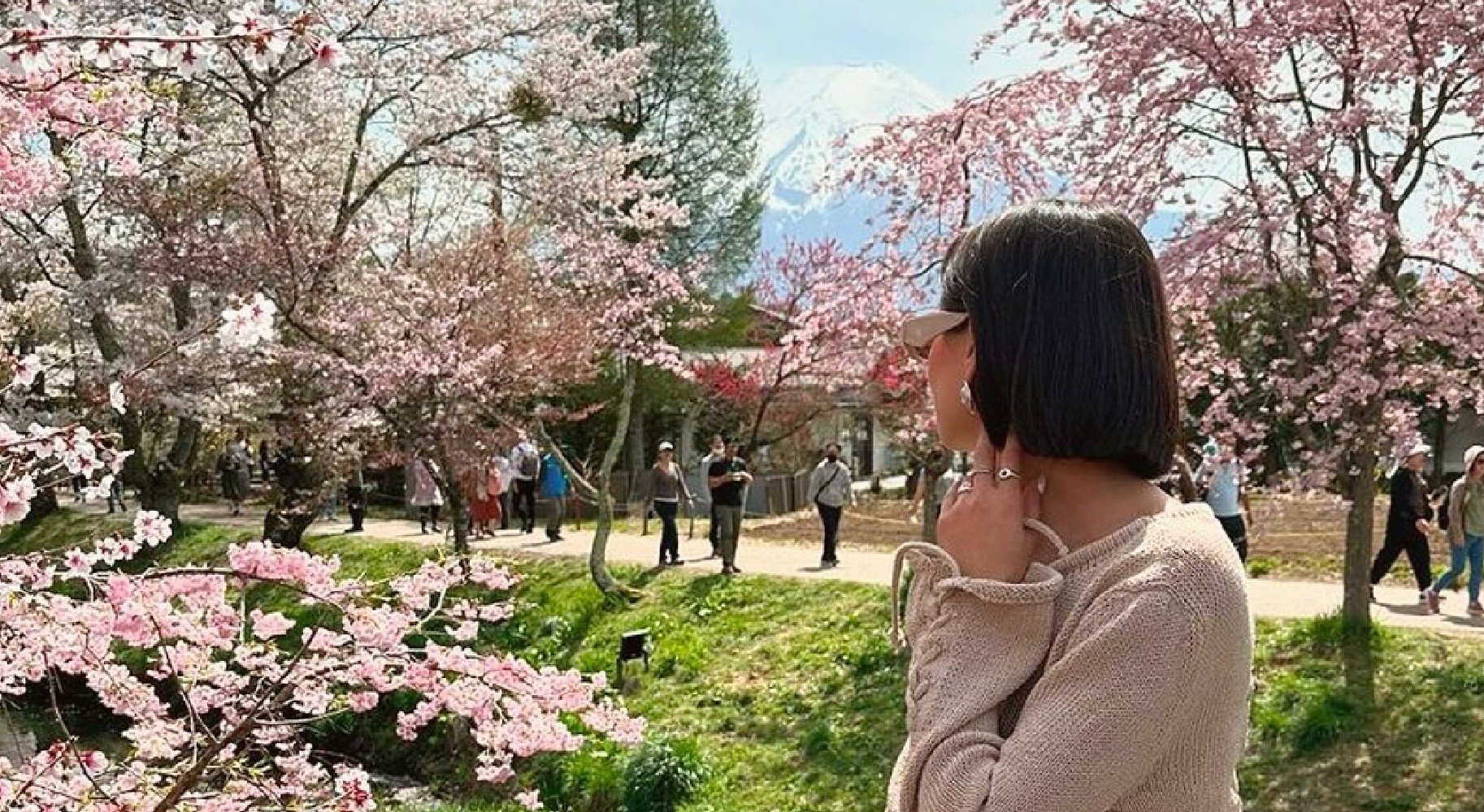 Female Tourist Admiring Mount Fuji During Sakura Season