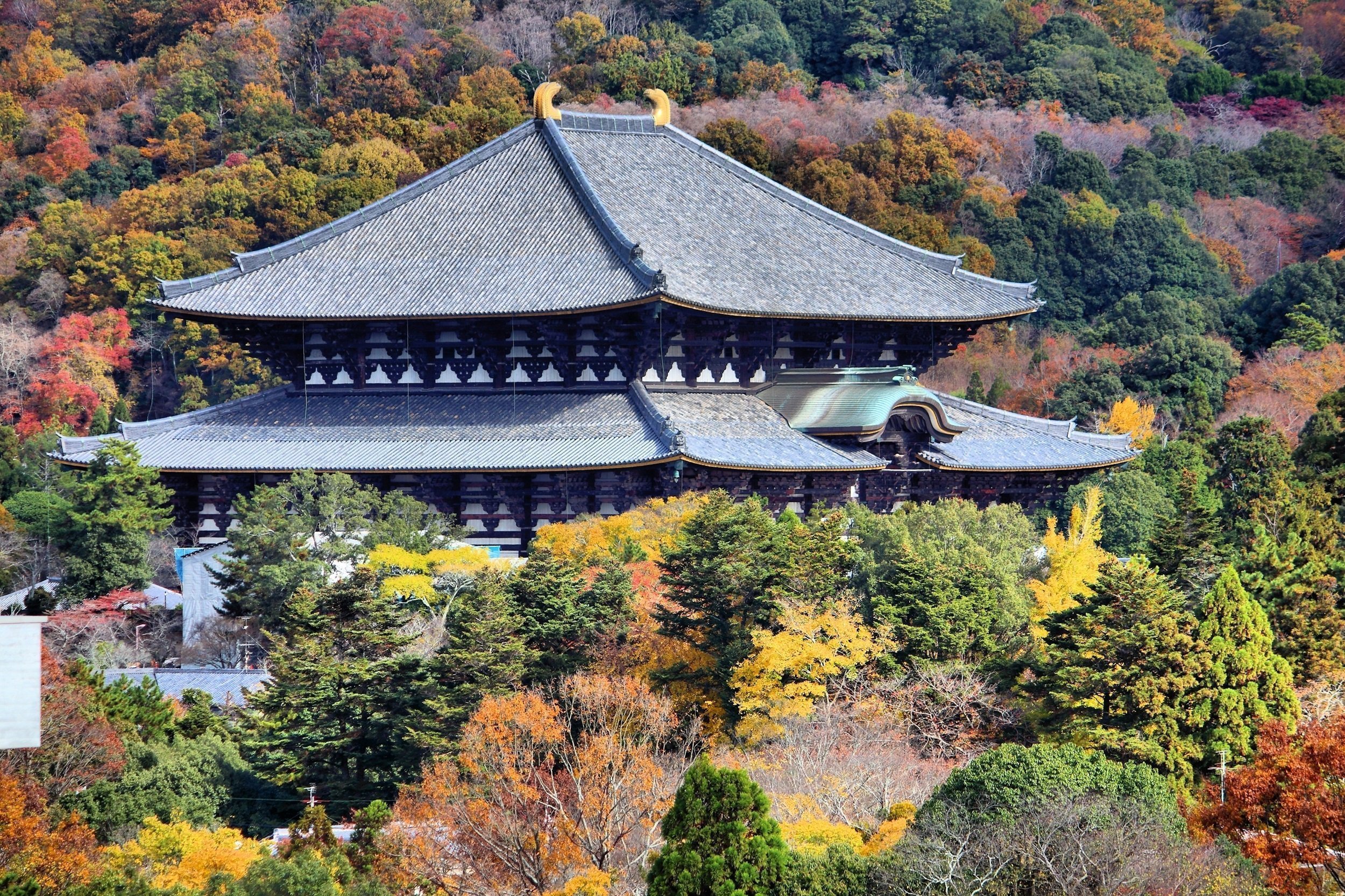 Nara Todaji Temple Nara During Fall