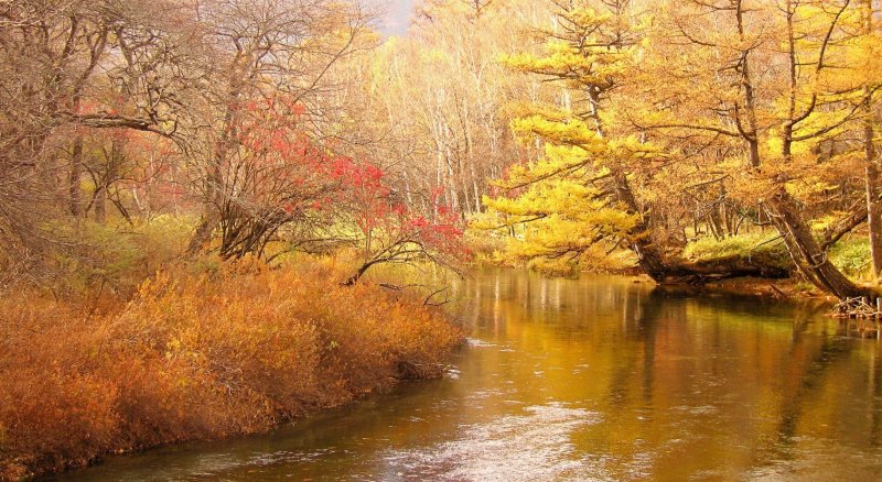 Nikko Lake Japan Nature Tour