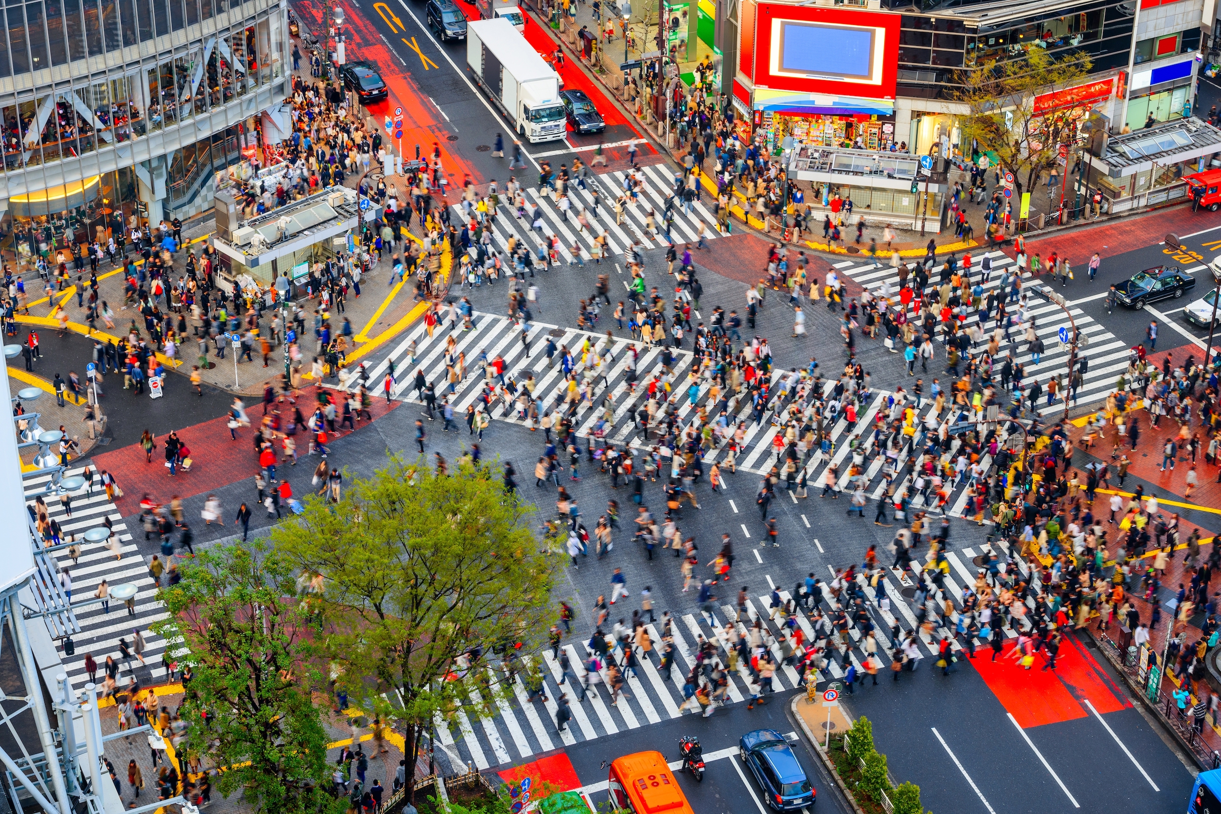 5 Day Tokyo & Mount Fuji Private Tour Package - Shibuya, Tokyo, Japan Crosswalk And Cityscape In The Late Afternoon.