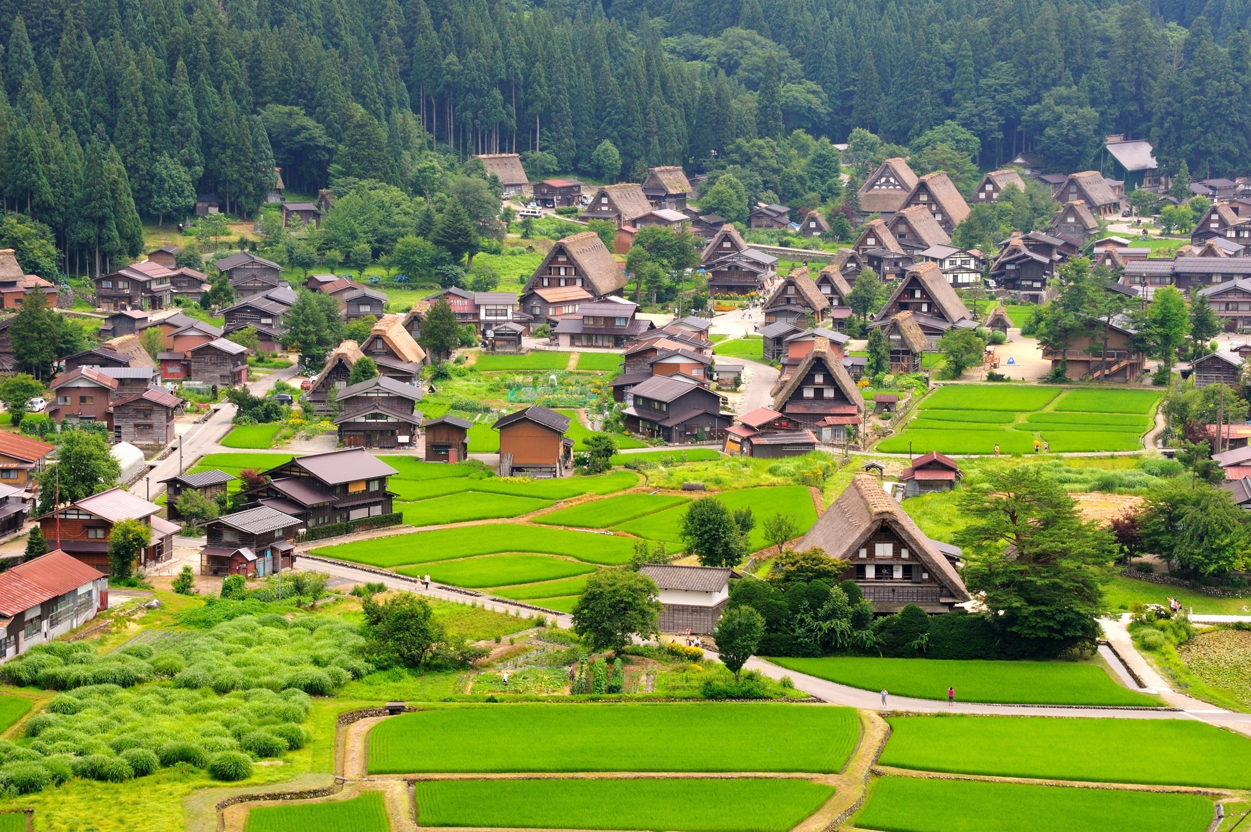 Japan Shirakawago Village Japan Golden Route