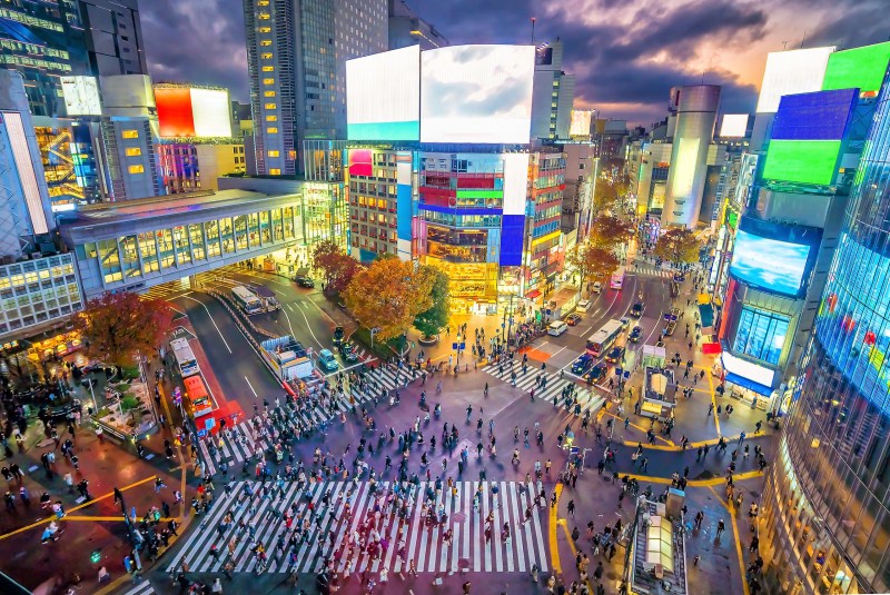 Shibuya Crossing - Private Tokyo Walking Tour