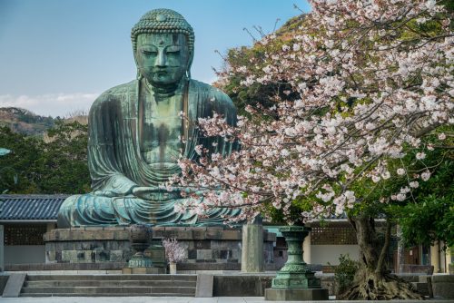 Tokyo To Kamukara Day Trip