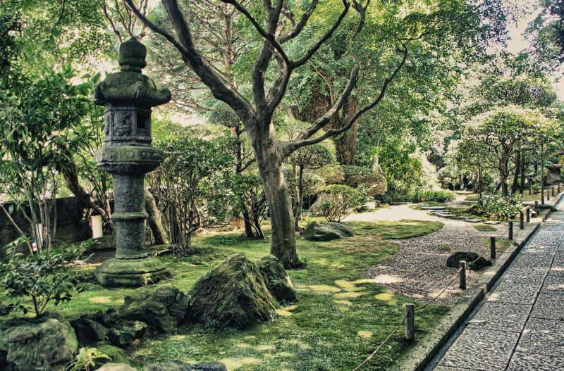 Stroll Through The Garden Of Kotukin Temple On The Kamakura Walking Tour And Tea Ceremony Scaled 1