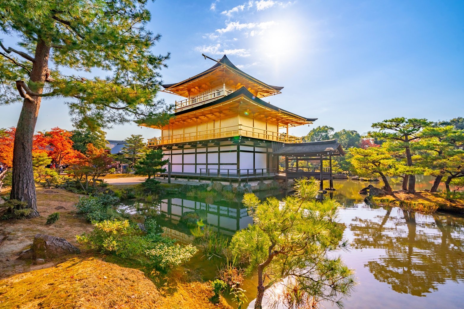Best Of Kyoto Half-day Tour
