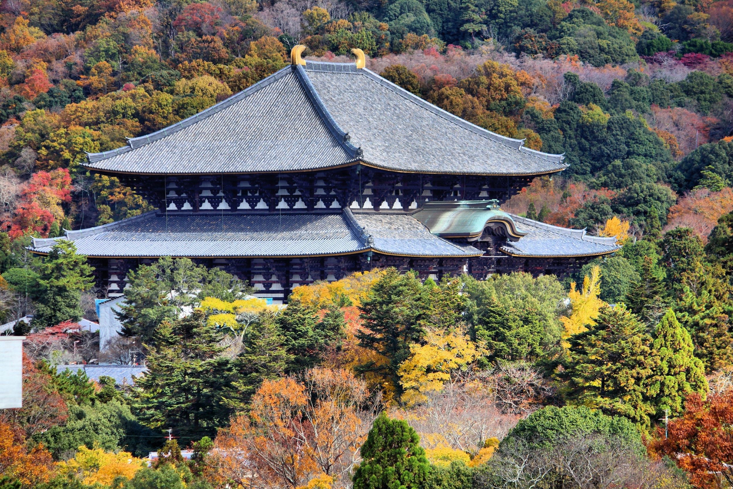 Todaiji Temple Roof