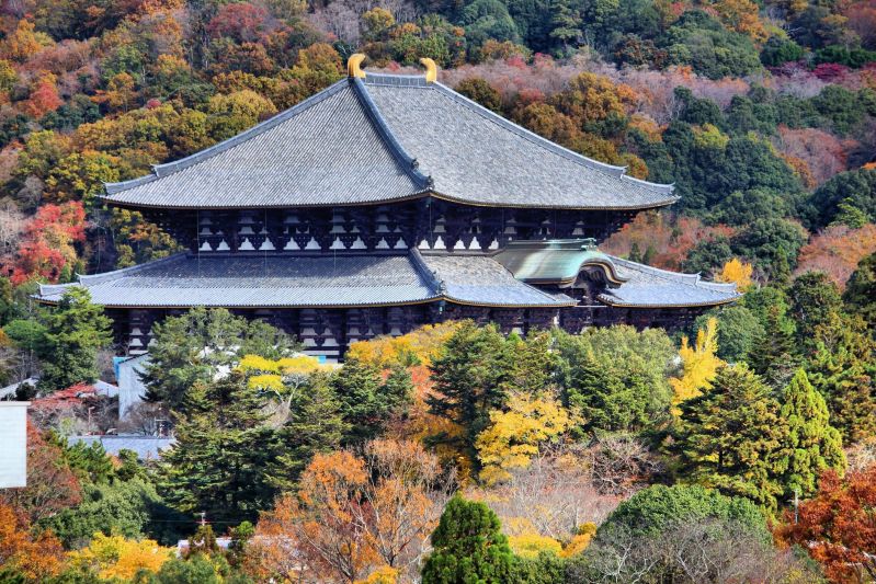 Todaiji Temple Roof