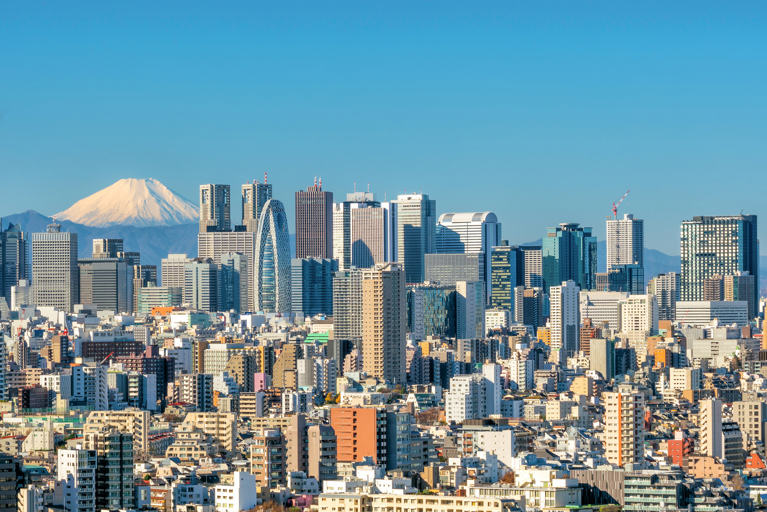 Tokyo City Skyline And Mount Fuji Japan