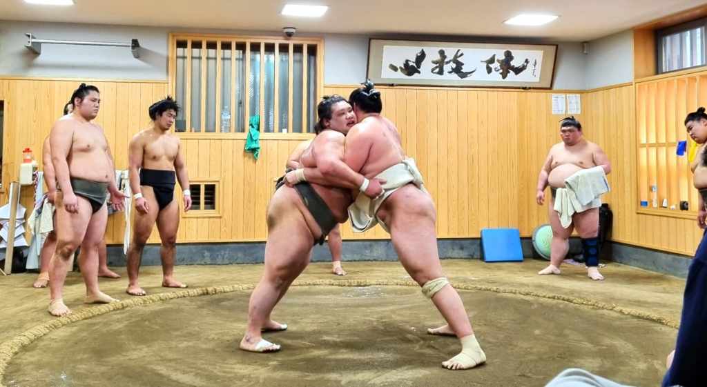 Tokyo Sumo Experience